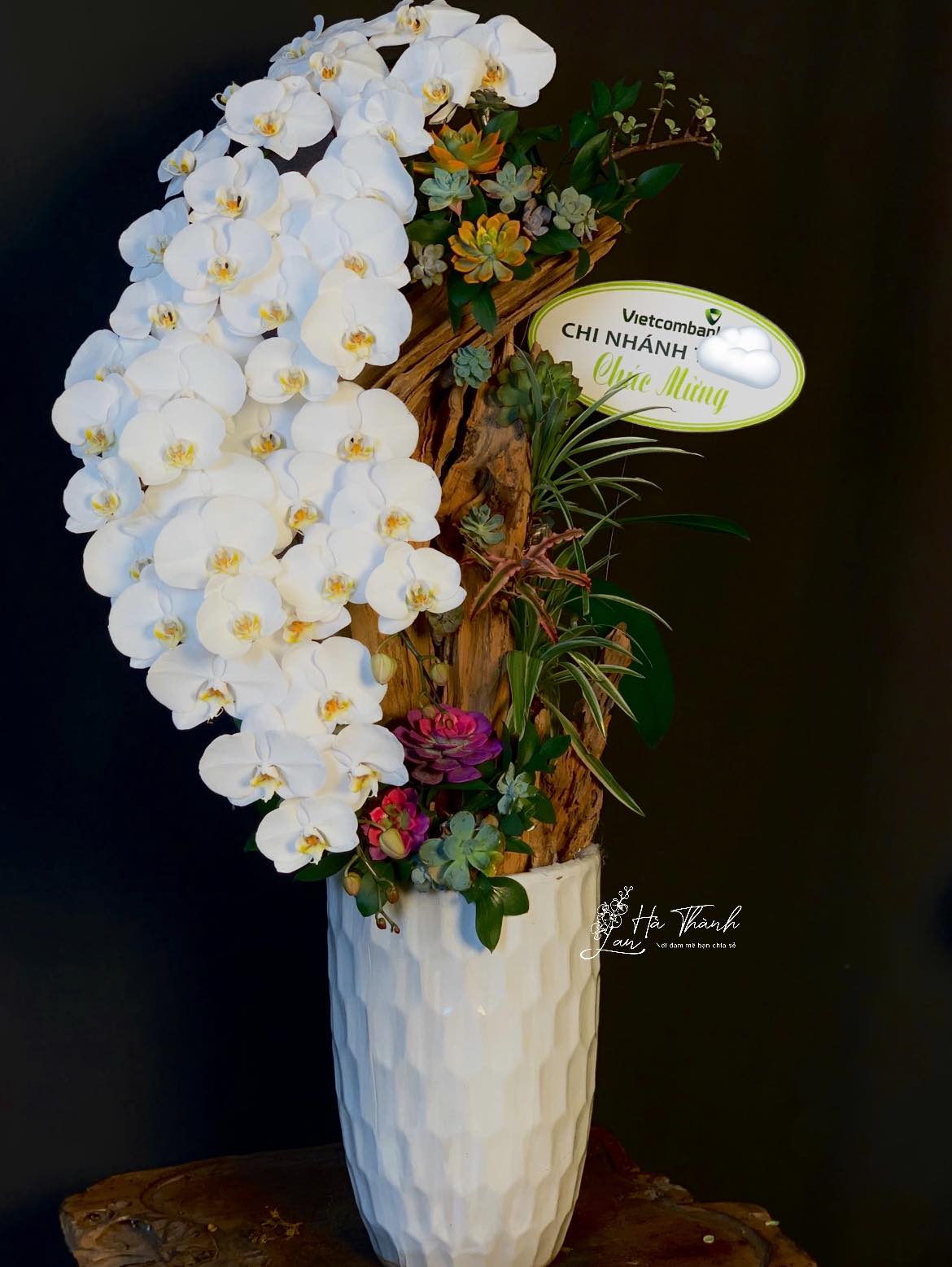 Lan Hồ Điệp Ghép Lũa 12 Cành Hồng Anna